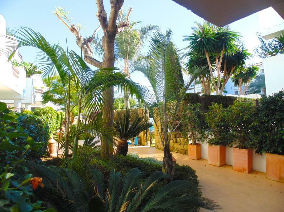 Beautiful Penthouse In A Perfect Location Apartment Estepona Exterior photo