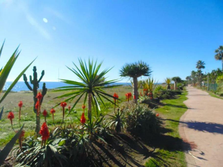 Beautiful Penthouse In A Perfect Location Apartment Estepona Exterior photo